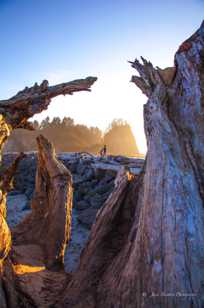 La Push breakwater-2186